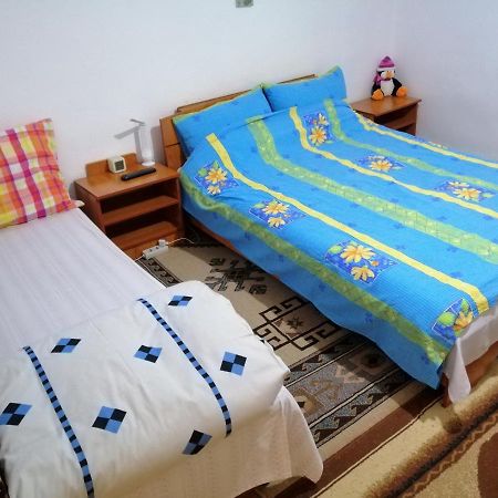 Апартаменты Rustic House Turnu Magurele Экстерьер фото