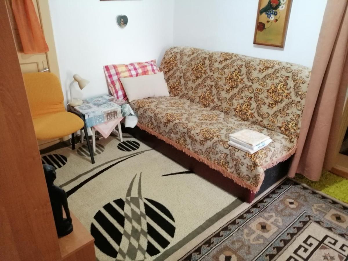Апартаменты Rustic House Turnu Magurele Экстерьер фото