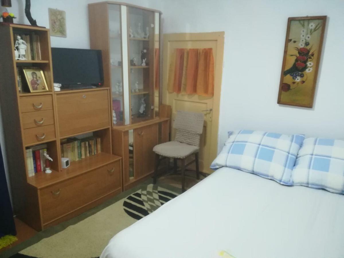 Апартаменты Rustic House Turnu Magurele Экстерьер фото